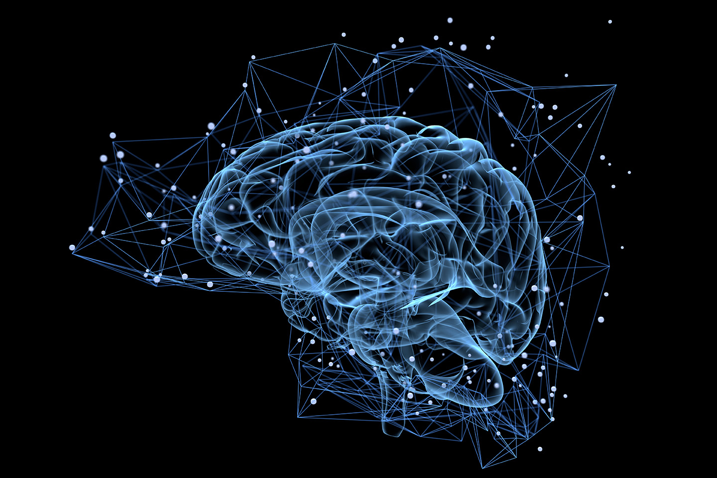Brain vector image