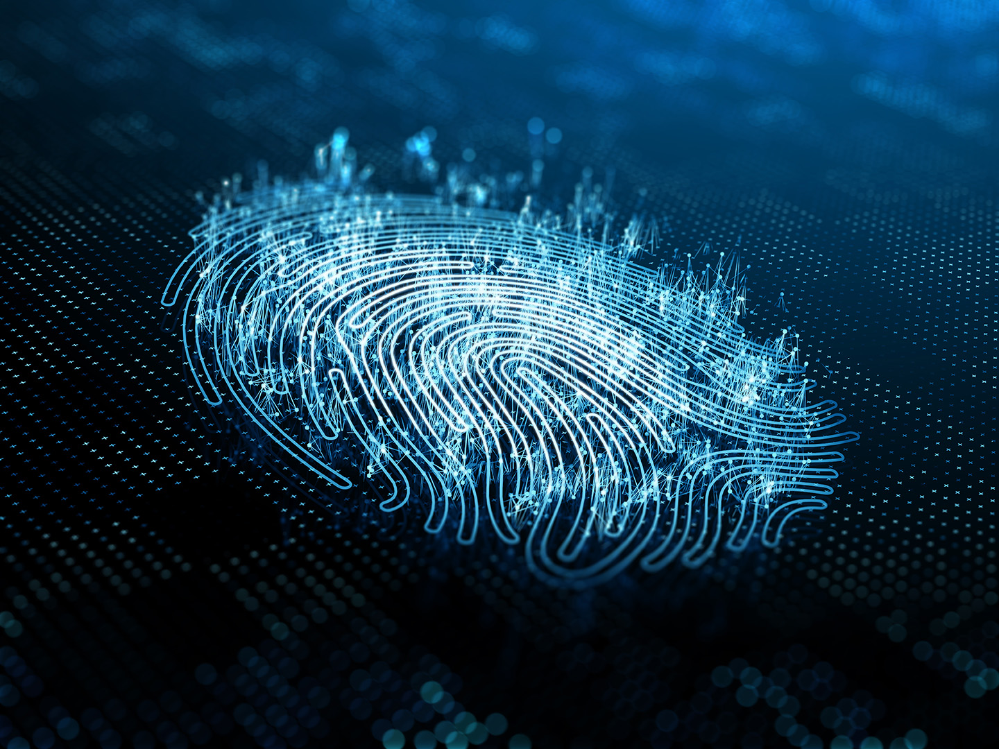 Fingerprint image