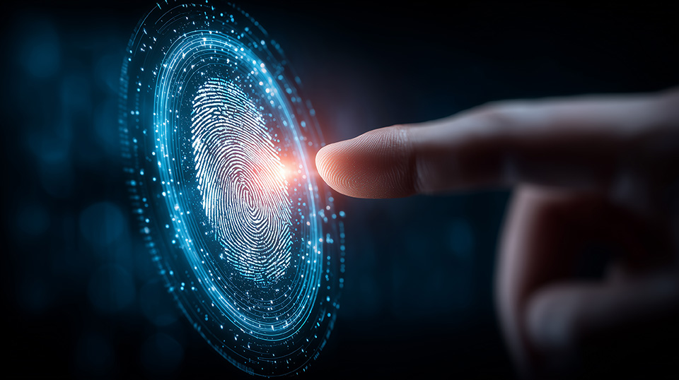 Biometric passwordless authentication