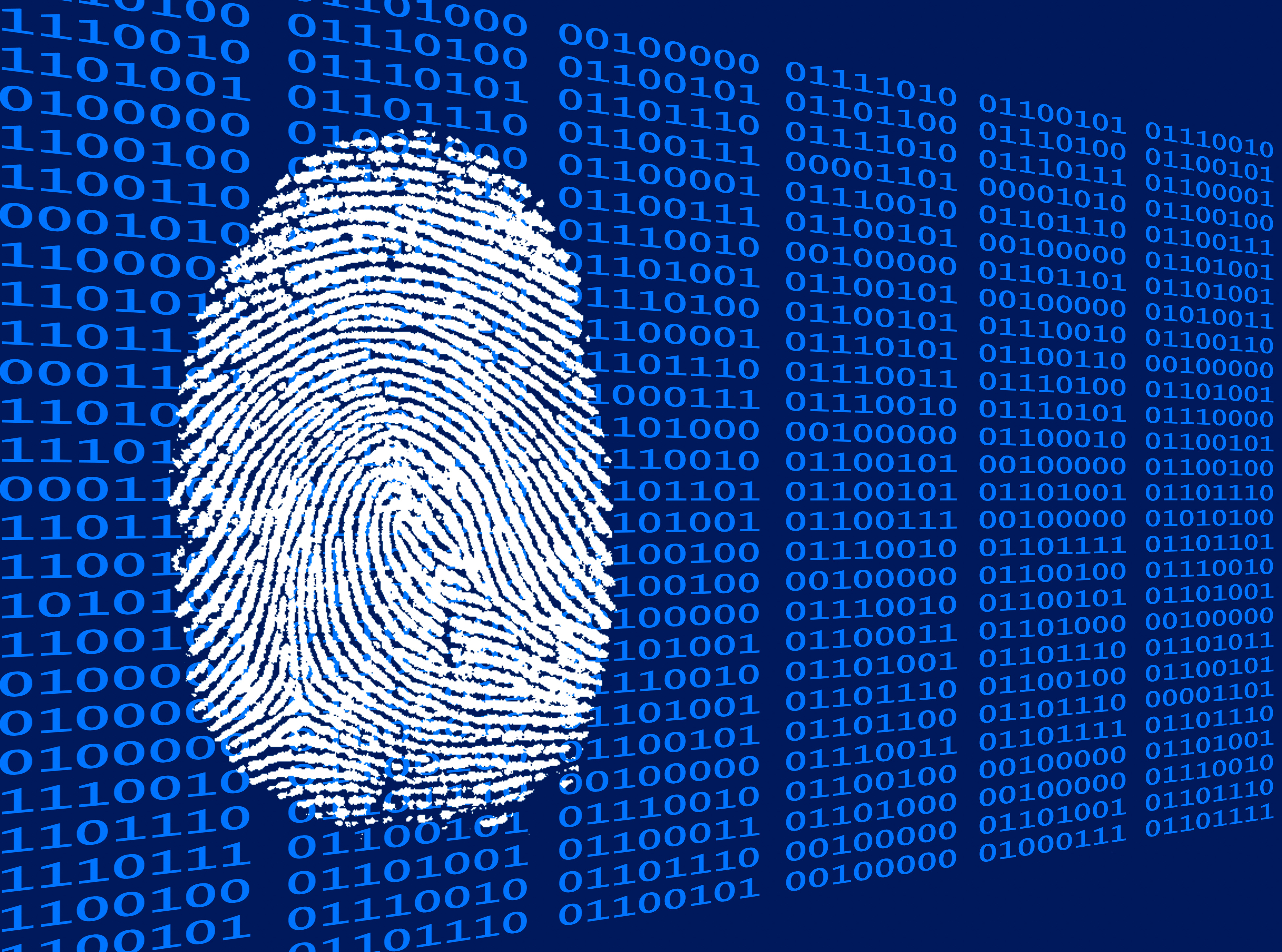 Digital fingerprint backed by binary code