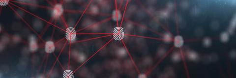 Image of an abstract web of fingerprints and red lines connecting them